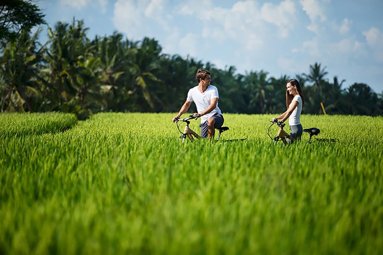 Tanah Gajah, A Resort By Hadiprana Ubud Exterior foto